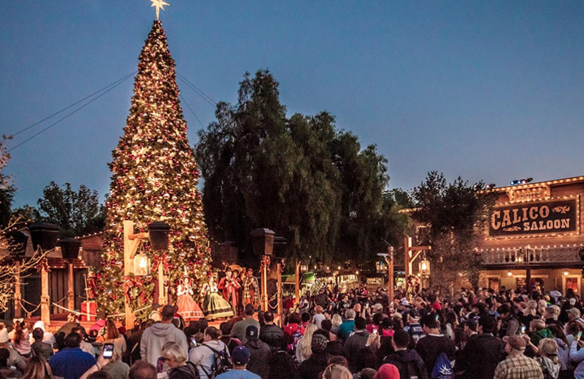 Winter Knotts Berry Farm