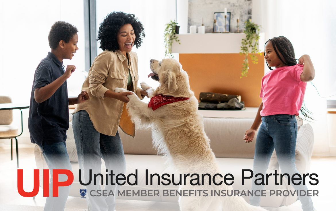 UIP Pet Insurance